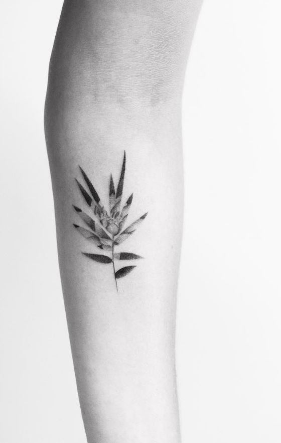 Lotus in Leaves Tattoo