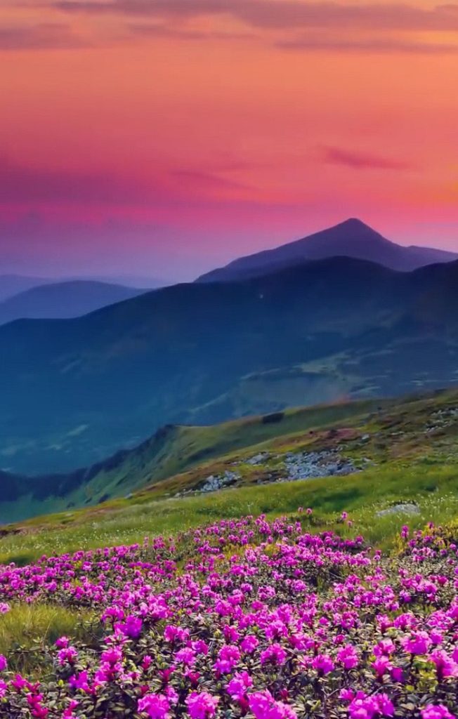 Nature Photography Inspiration | 30 Pictures - Doozy List