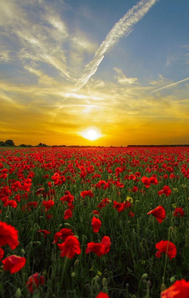 Nature Photography Inspiration | 30 Pictures - Doozy List