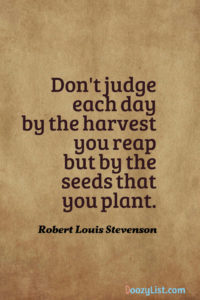 Don't judge each day by the harvest you reap but by the seeds that you plant. Robert Louis Stevenson