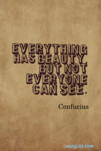 Everything has beauty, but not everyone can see. Confucius