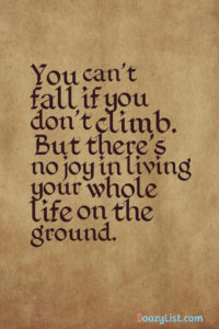 You can’t fall if you don’t climb. But there’s no joy in living your whole life on the ground.