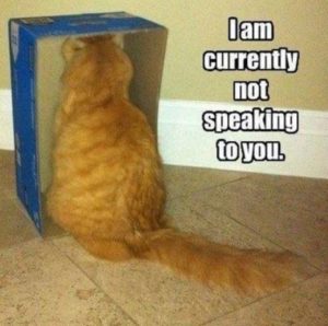 30 Funny Pictures of The Day