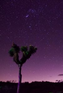 Best Photos of The Week (35 photos) (12)