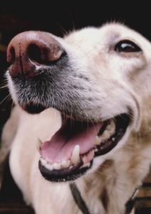 Best Photos of The Week (35 photos) (4)