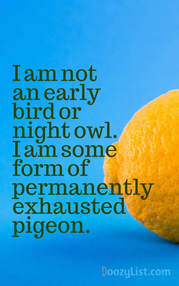 I am not an early bird or night owl. I am some form of permanently exhausted pigeon.