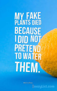 My fake plants died because I did not pretend to water them. Mitch Hedberg