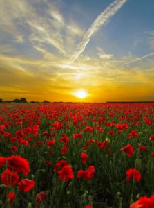 24 Stunning Landscape Photos