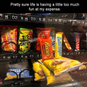 Funny Pictures of The Week – (34 Pics)