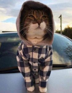 Funny Pictures of The Week – (34 Pics)