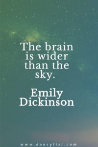 The brain is wider than the sky. Emily Dickinson
