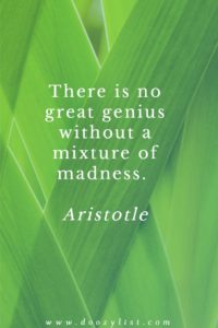 There is no great genius without a mixture of madness. Aristotle